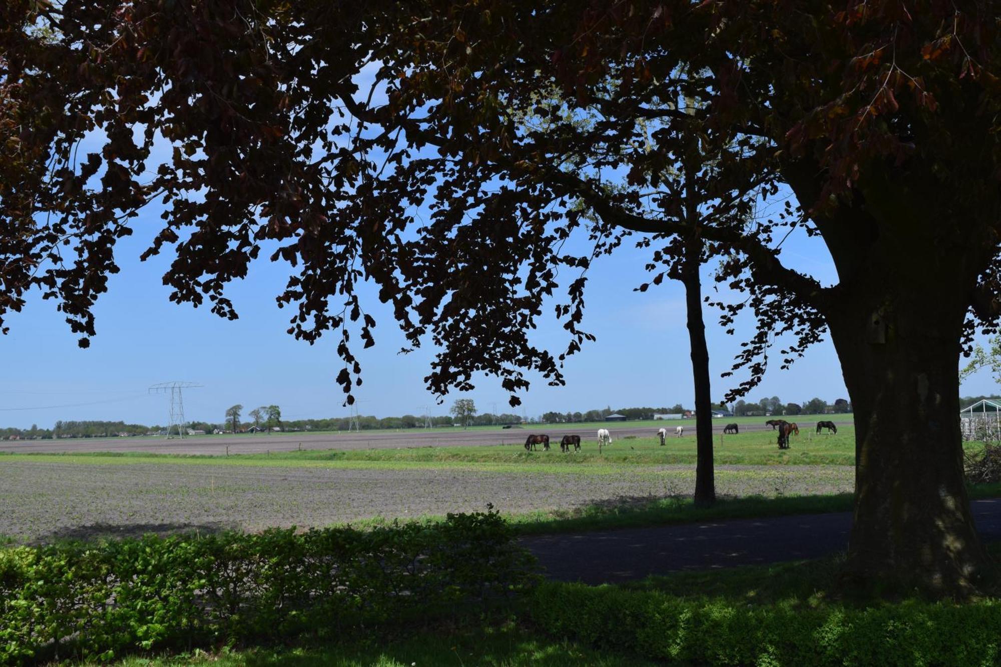 Gastenhuis De Veenstraal Gieterveen Exteriér fotografie